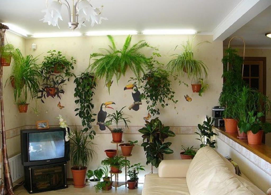 Комнатные Растения В Интерьере Квартиры
