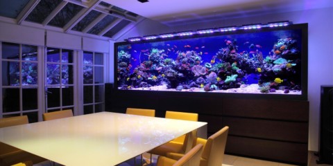 аквариум в квартире дизайн фото