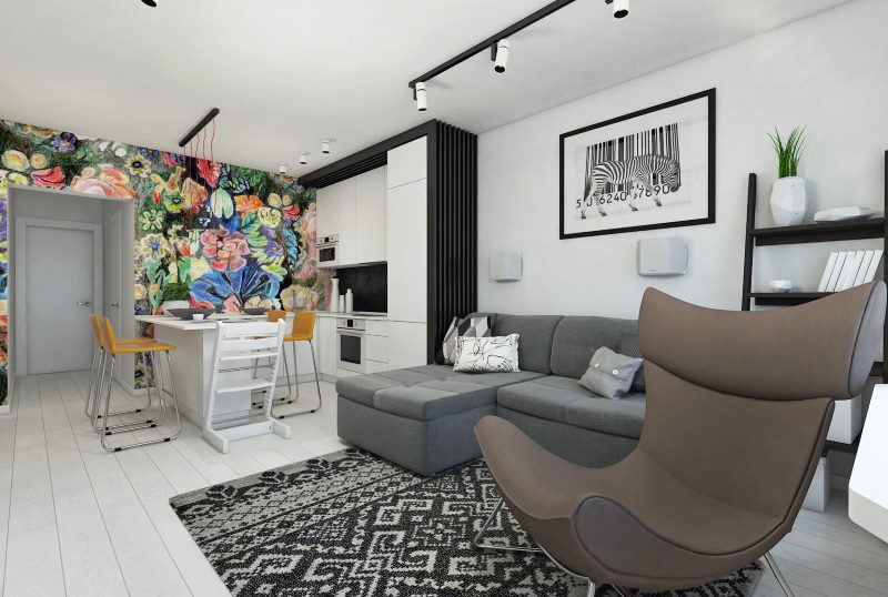 Дизайн однокомнатной квартиры распашонки (52 фото) - красивые картинки и HD фото