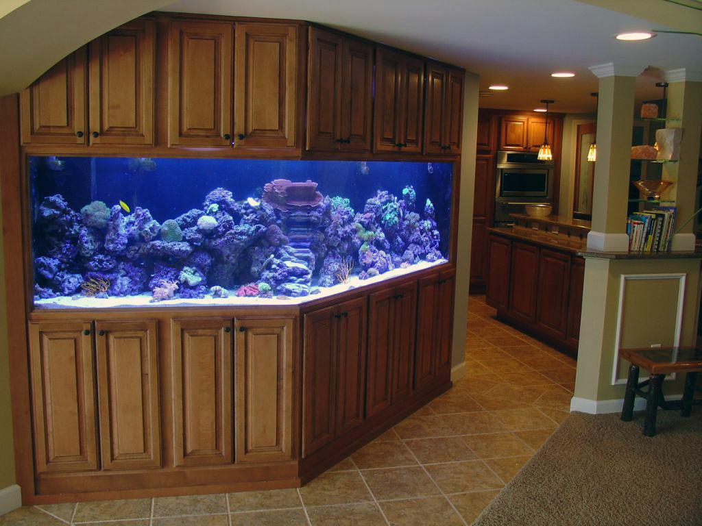 Большие аквариумы в интерьере квартиры