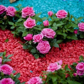 Розы В Ландшафтном Дизайне Дачного Участка Фото