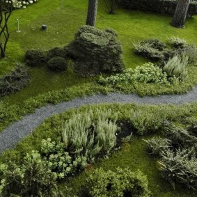 Гравийная тропинка в саду природного стиля