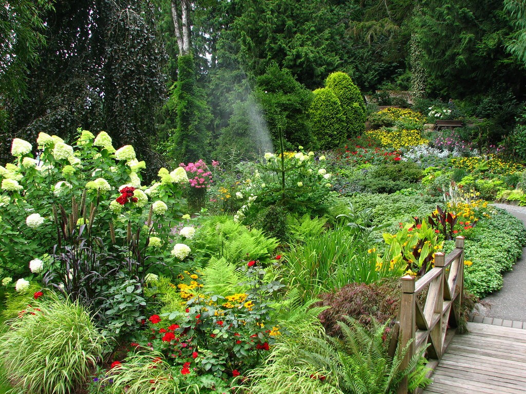 Декоративный Лен: особенности выращивания цветов в саду