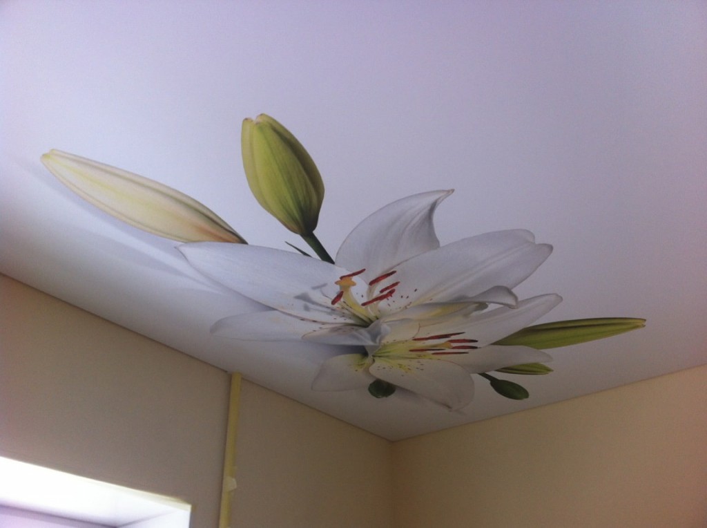 Рисунок цветка на натяжном полотне в комнате