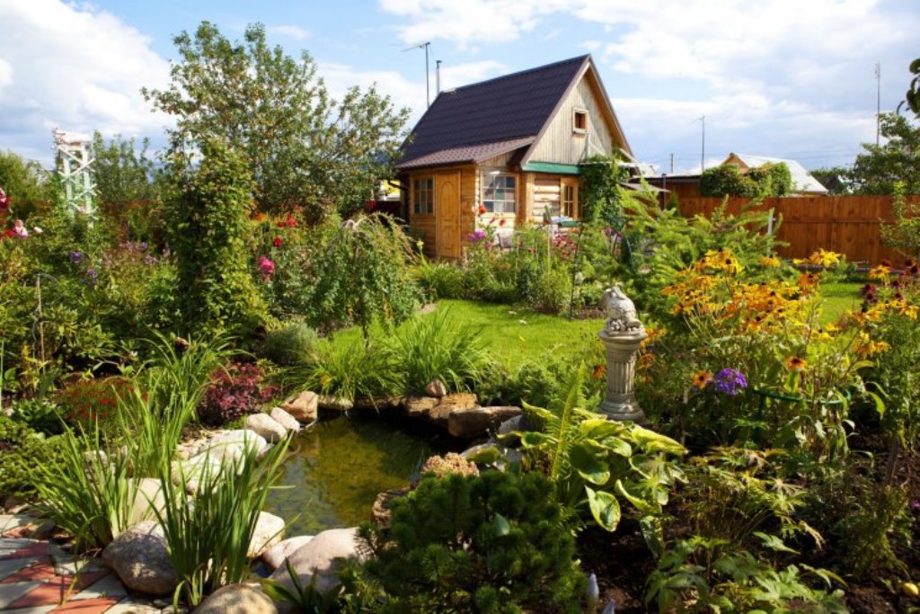 Дизайн маленького пруда в саду фото