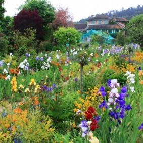 Цветочный сад в середине лета