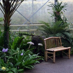 Бамбуковая скамейка в зимнем саду