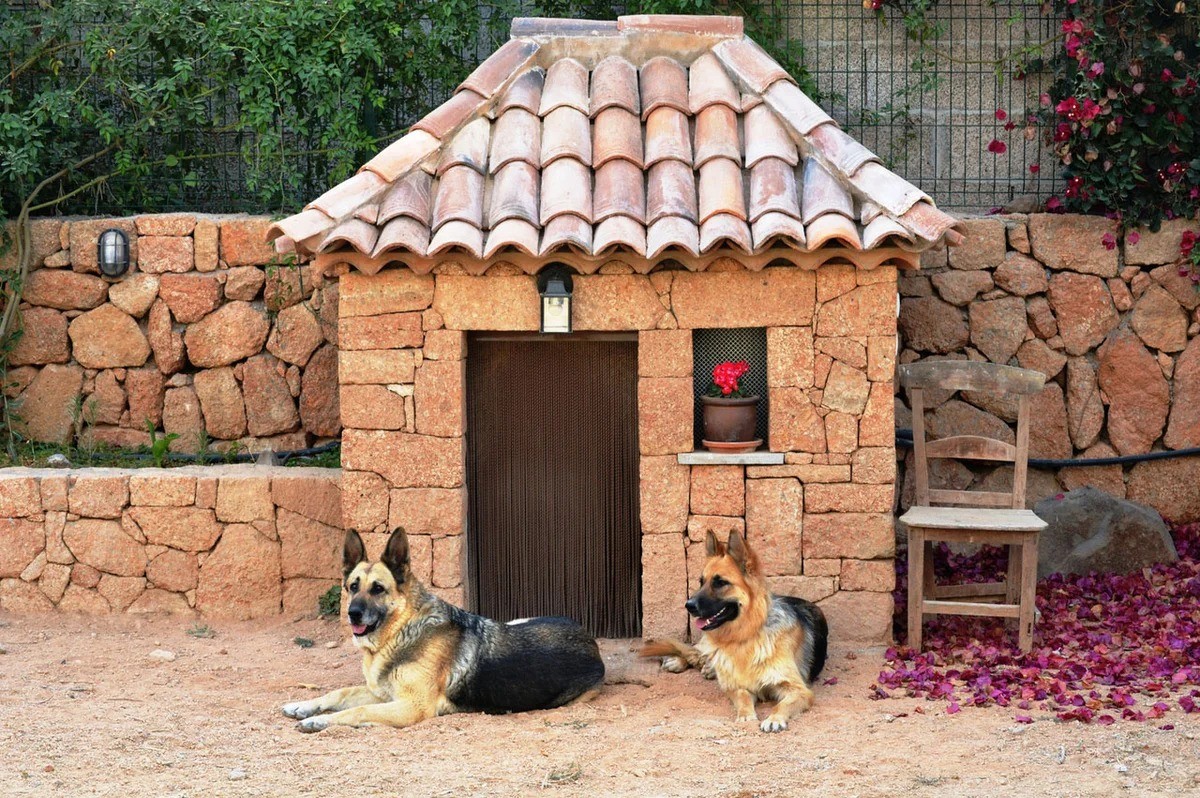 будка для собак