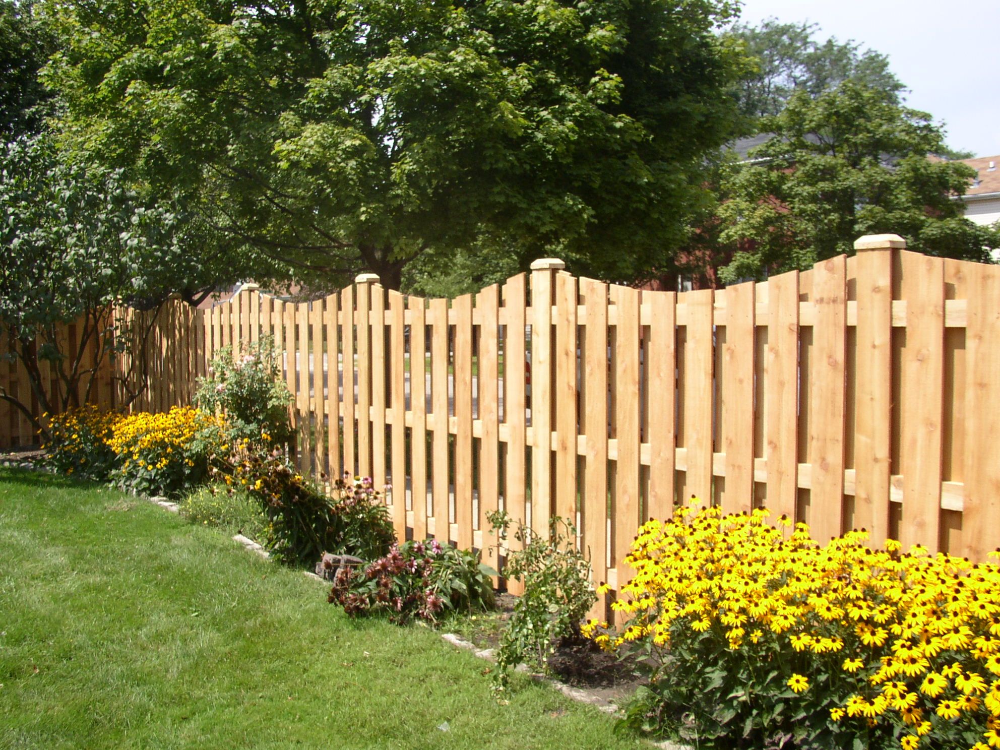 Виды деревянных. Деревянный забор. Красивый деревянный забор. Деревянный забор для дачи. Красивые заборы из дерева.