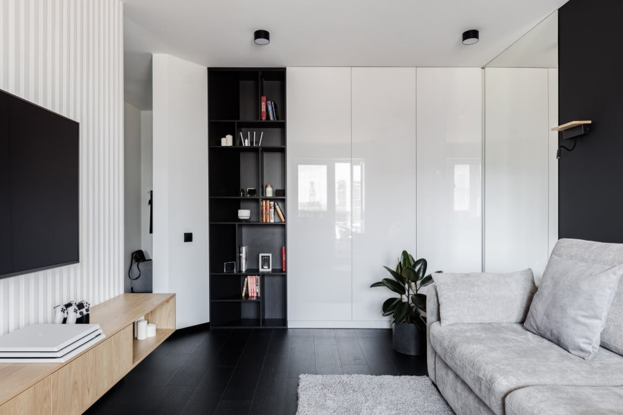 Встроенные шкафы в гостиной стиля минимализм