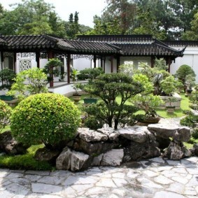 сад в японском стиле фото