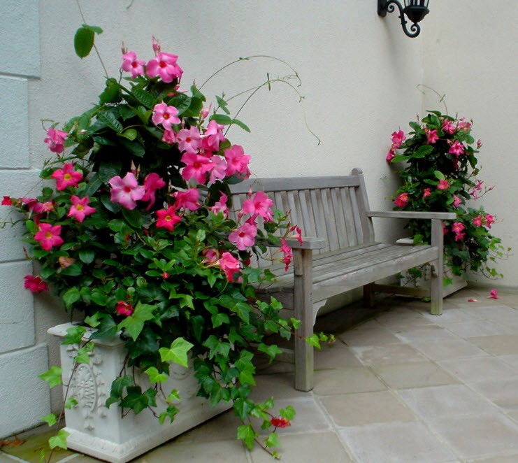 Деревянная скамейка между вазонами с цветами