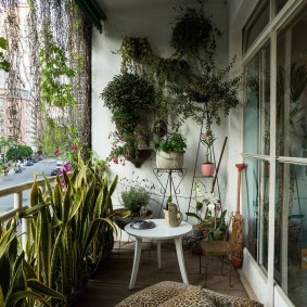 Живые растения в горшках на балконе