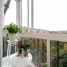 Комнатные цветы на балконе с панорамными окнами