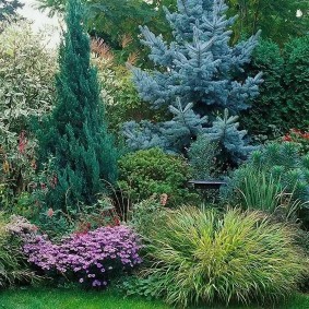 Садовый миксбордер с многолетними растениями