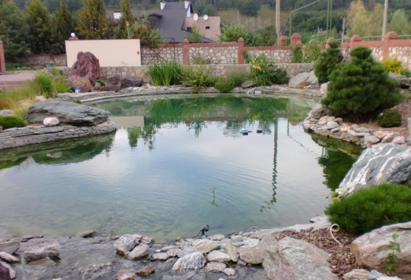 Сухой водоем в ландшафтном дизайне фото