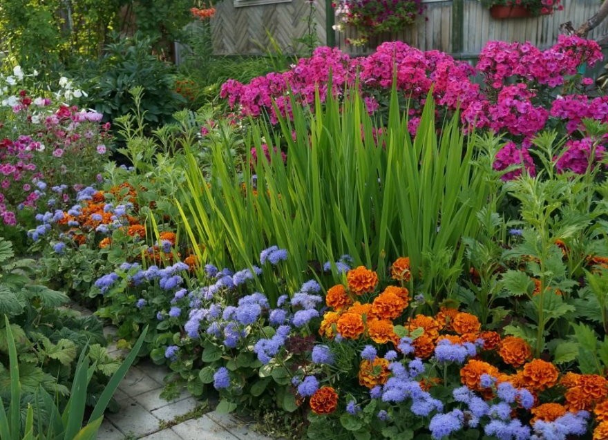 Виды клумб и цветников в ландшафтном дизайне сада: какие бывают, примеры с фото