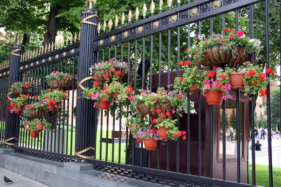 Горшки с цветами на металлическом заборе