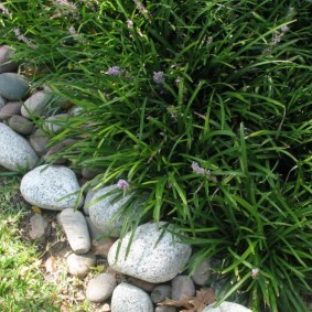 Округлые камни на садовом участке
