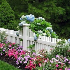 Белый забор в палисаднике загородного дома