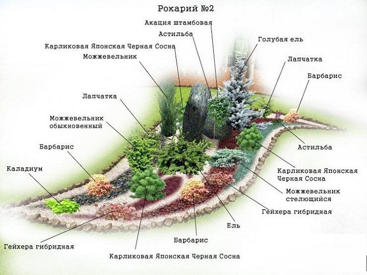 Схема рокария со списком растений