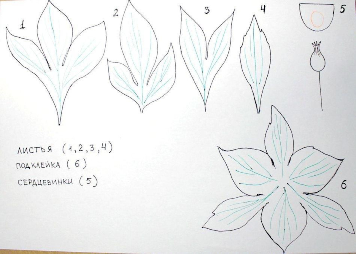 50 шаблонов и схем изготовления цветов из бумаги